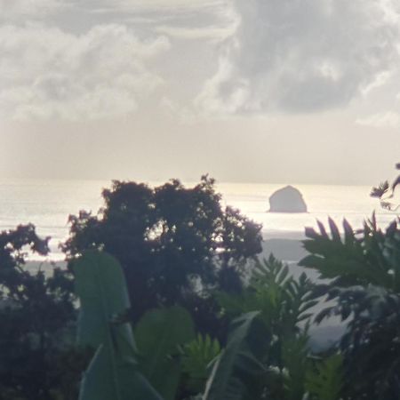 Villa Les Mahoganys Riviere-Salee Luaran gambar