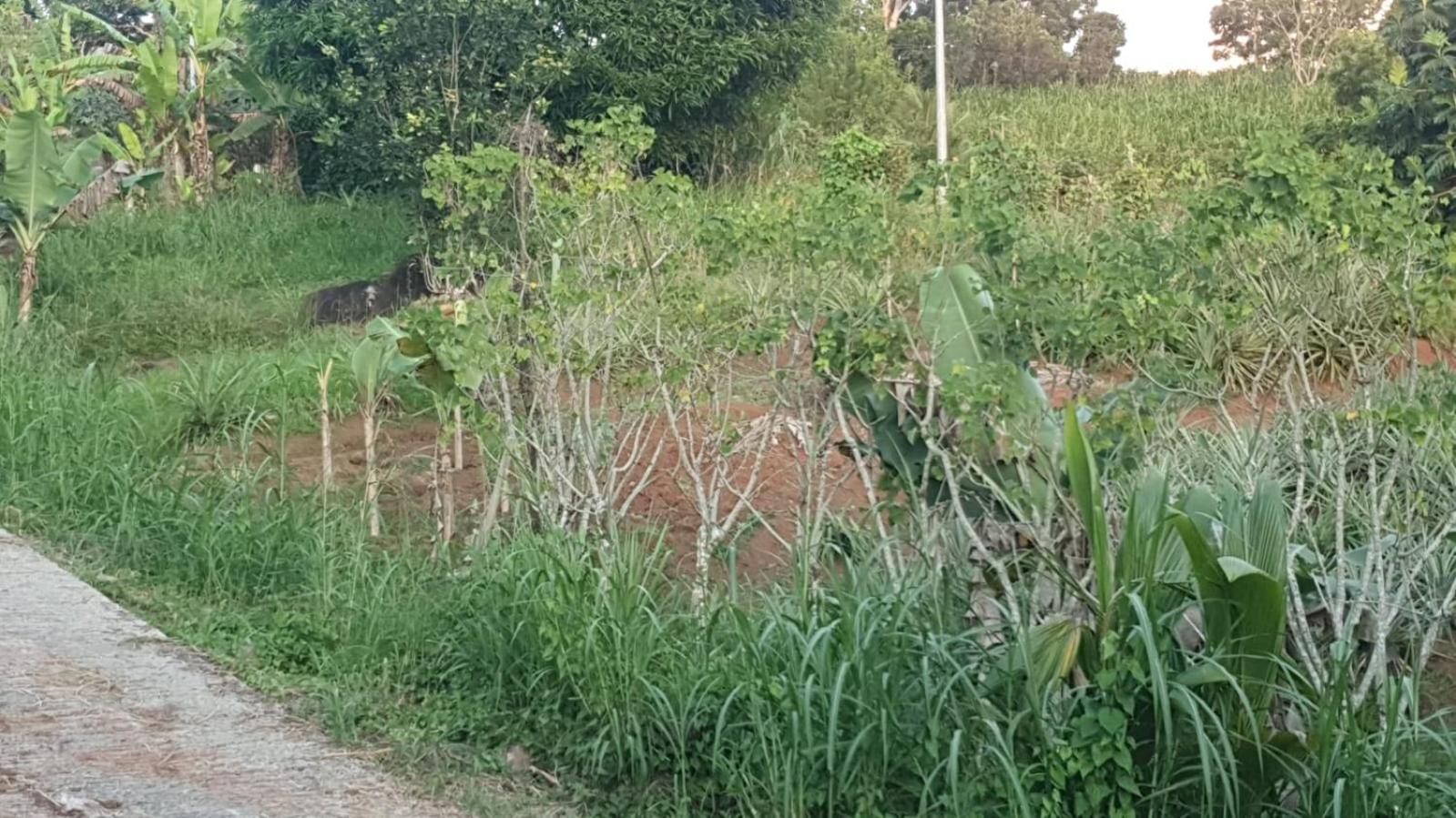 Villa Les Mahoganys Riviere-Salee Luaran gambar