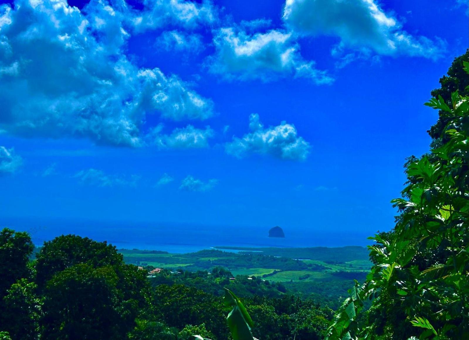 Villa Les Mahoganys Riviere-Salee Luaran gambar