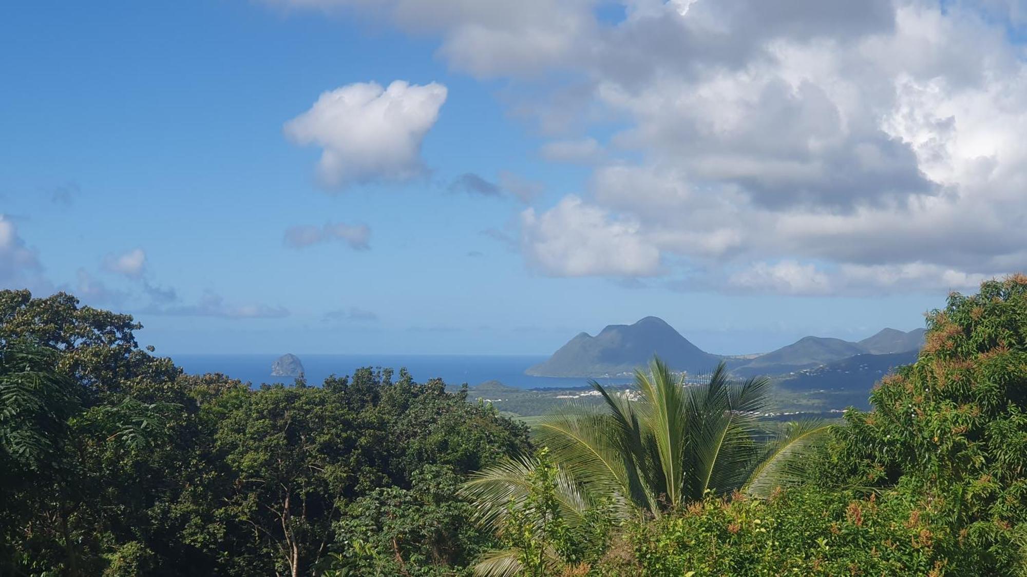 Villa Les Mahoganys Riviere-Salee Luaran gambar