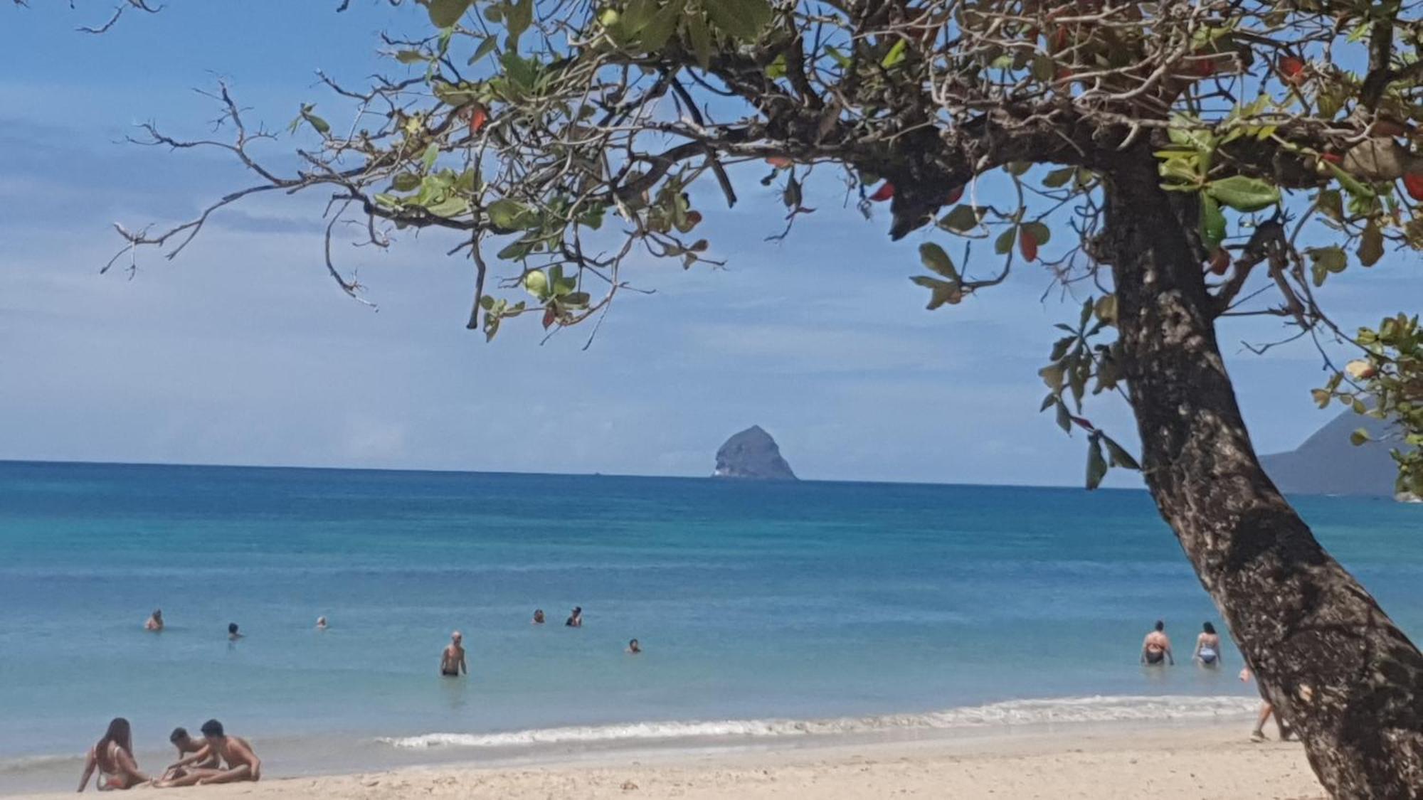 Villa Les Mahoganys Riviere-Salee Luaran gambar