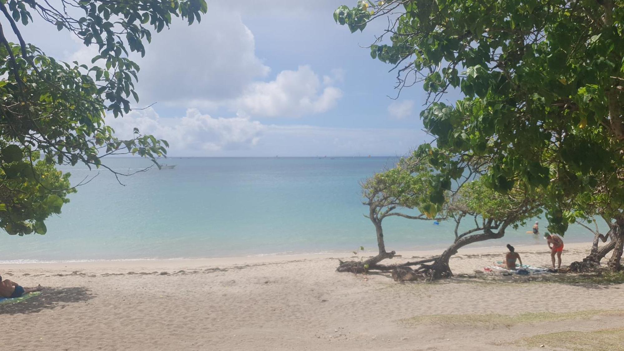 Villa Les Mahoganys Riviere-Salee Luaran gambar